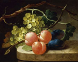 Grapes on a Vine, Peaches and Plums on a Ledge