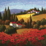 Tuscan Poppies