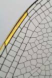 Emperor Dragonfly wing, Den Helder, Netherlands
