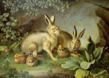 Hares and Leverets In a Rocky Lair