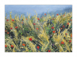 Wind-Blown Poppies