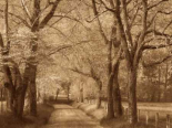 Smokies Road